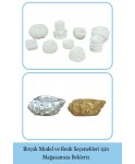 Beyaz Mumluk Şamdan 3 Adet Tealight Uyumlu Deniz Kabuğu Mum Model